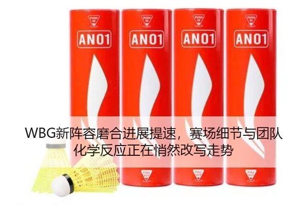 WBG新阵容磨合进展提速，赛场细节与团队化学反应正在悄然改写走势